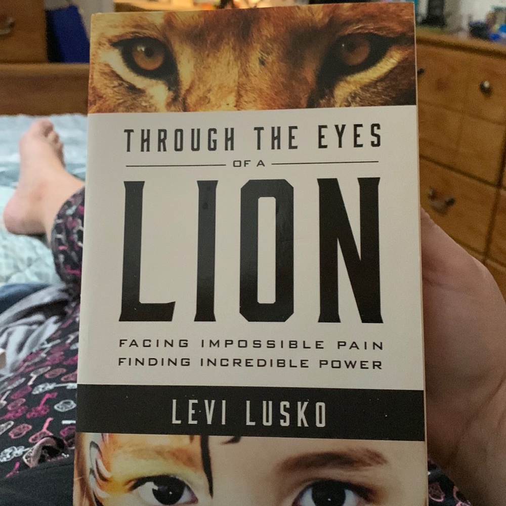 Through the eyes of a lion book